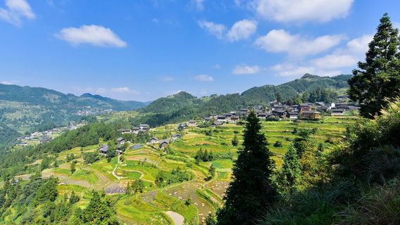 Longtang Scenic Area