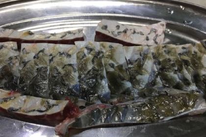 源港渔村-中山脆肉皖(博罗店)