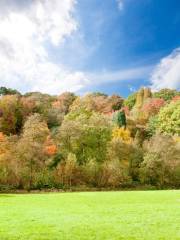 Arboreto Winkworth