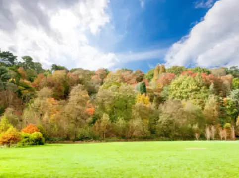 National Trust - Winkworth Arboretum