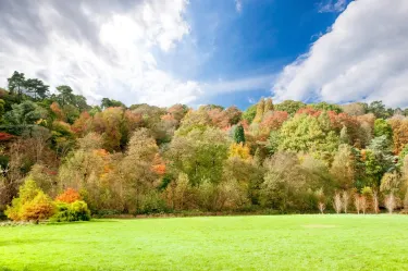 National Trust - Winkworth Arboretum