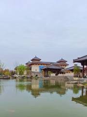 Чжэцзян Культурный Парк
