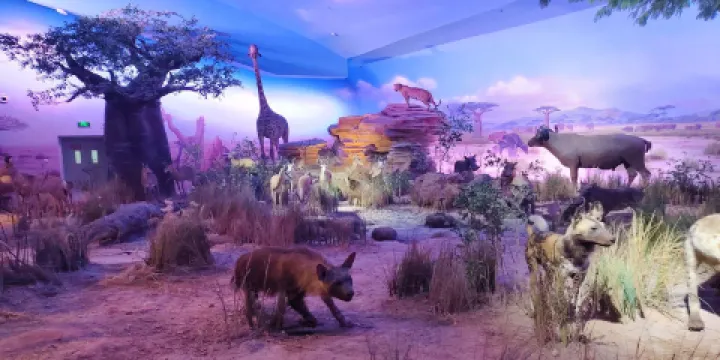 松江園-自然博物館