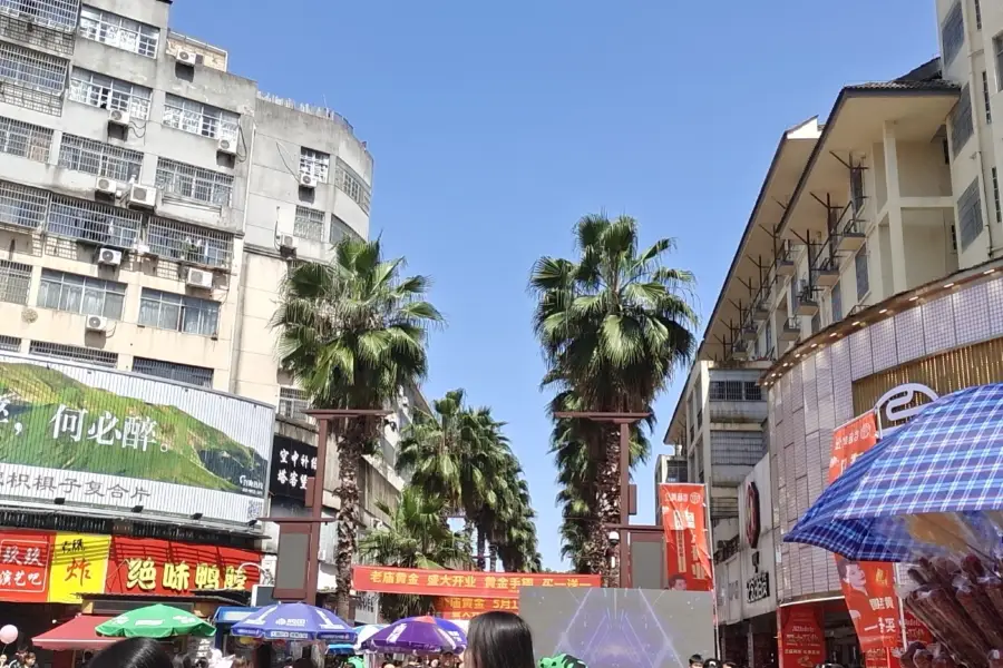 Yichun Gulou Pedestrian Commercial Street