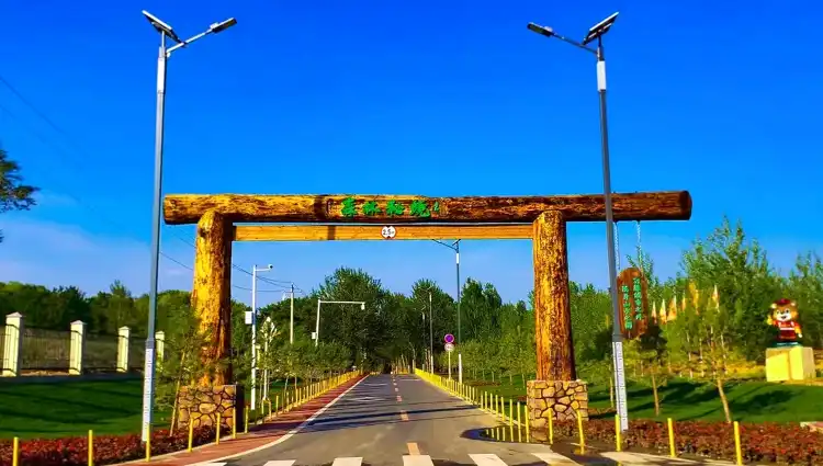 Tùng Nguyên