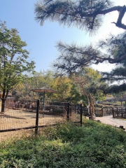 Детский зоопарк Большого инчхонского парка