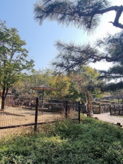 仁川大公園 子供動物園