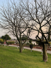 Jogger's Park Bathinda