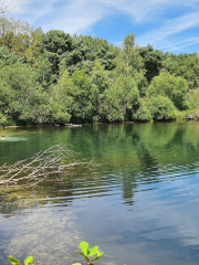 Parque nacional De Maasduinen