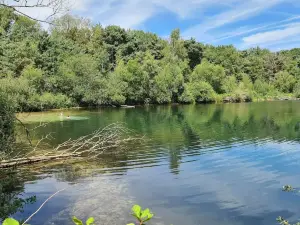 Parco nazionale De Maasduinen