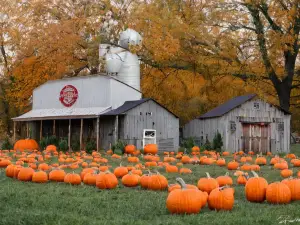 Lindners Farm Pumpkin Patch