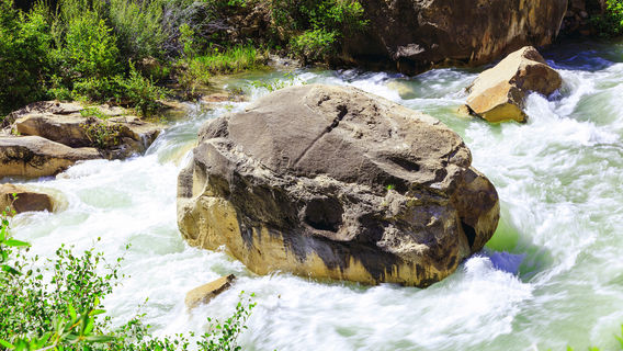 Cottonwood Creek Park