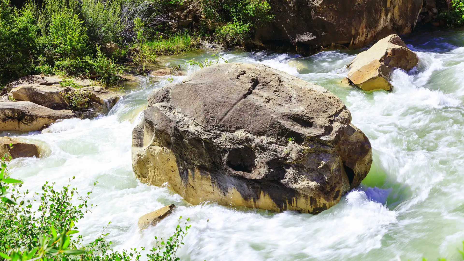 Hotels near Cottonwood Creek Park