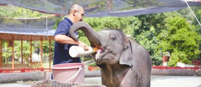National Elephant Conservation Centre