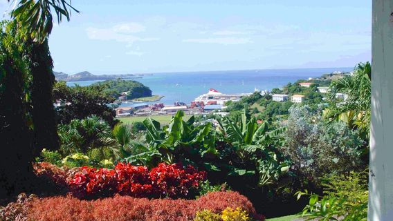 Hyde Park Tropical Garden
