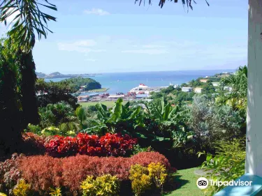 Hyde Park Tropical Garden