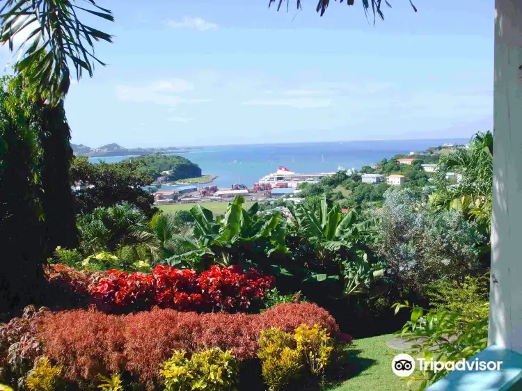 Hotels near Hyde Park Tropical Garden