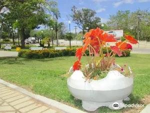 Flower Clock