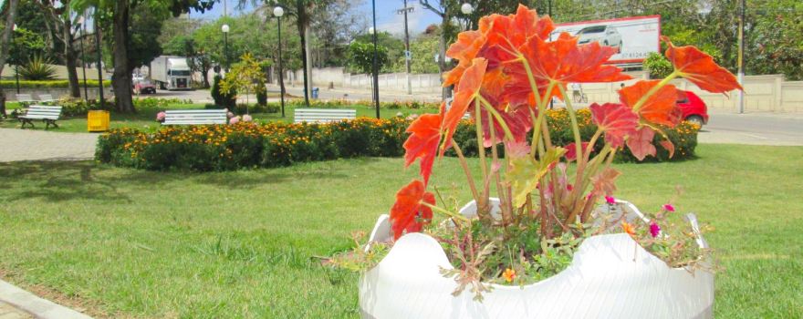 Flower Clock