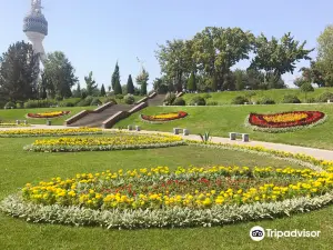 Ташкентская телебашня