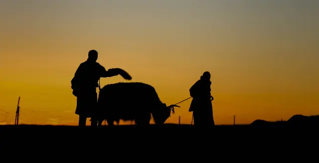 Sunset Sightseeing in Gannan