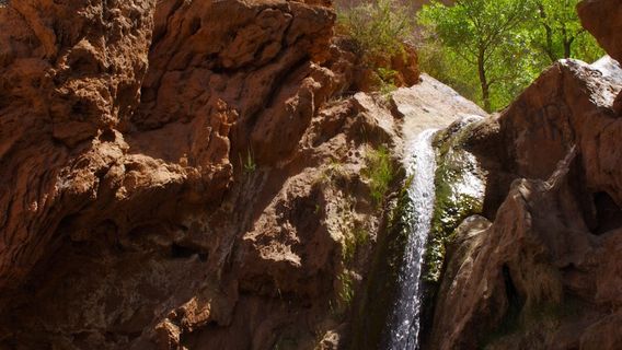 Tunnel Vista Observation Site