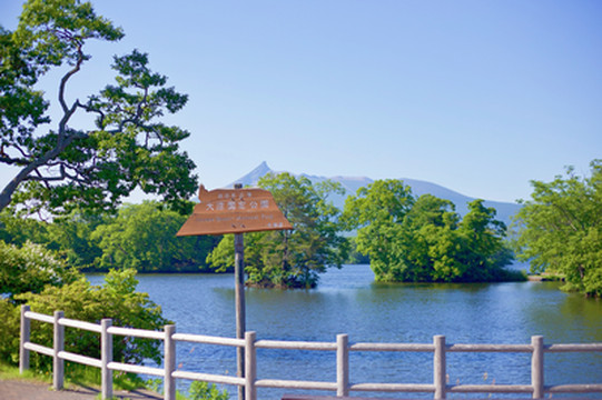 大沼公園】函館から30分の大自然🍃 | Trip.com 七飯町