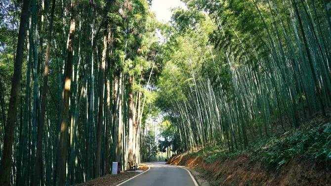 3_五峰山國家森林公園