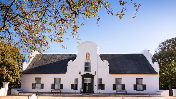 Vignoble de Constantia