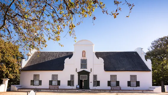 Vignoble de Constantia