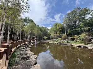 長白山九渓聴泉景勝地