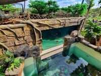 Ocean Park Cebu
