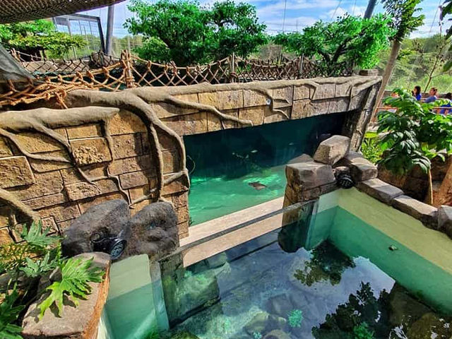 Ocean Park Cebu
