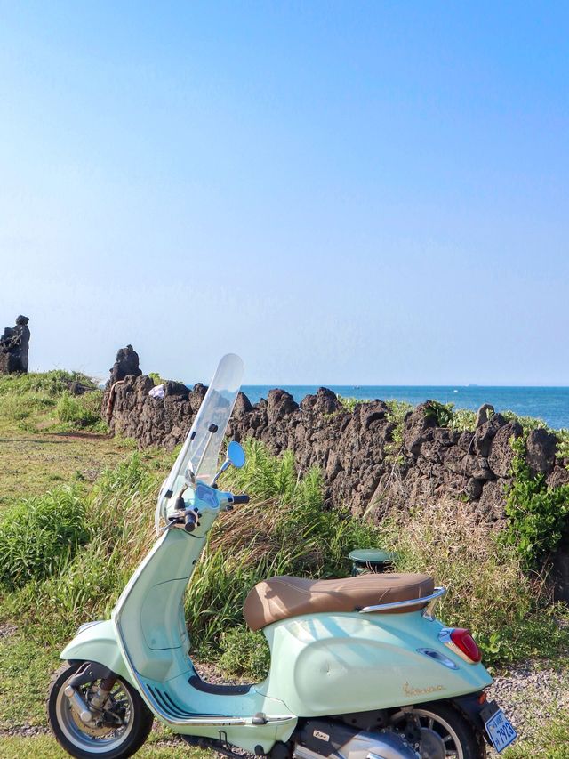 이맘 때 딱 제주
