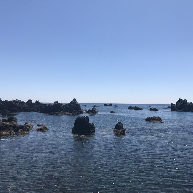 淺談利尻島