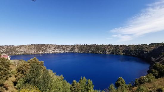 The Blue Lake Photos Photos Of Limestone Coast Attractions Trip Moments The Blue Lake Photos Photos Of Limestone Coast Attractions Trip Moments