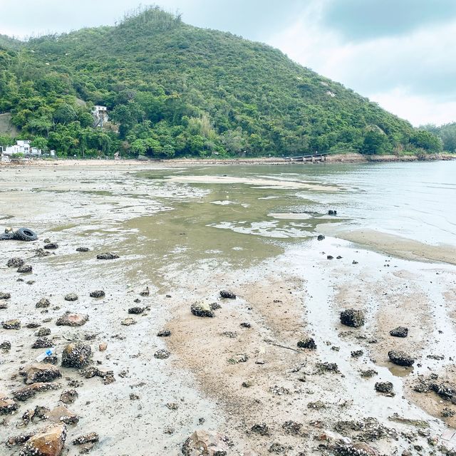 第一次參加南丫島親子團(下)