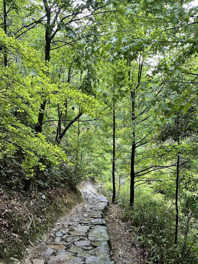 다치산 국립삼림공원