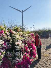 Bangui Wind Farm