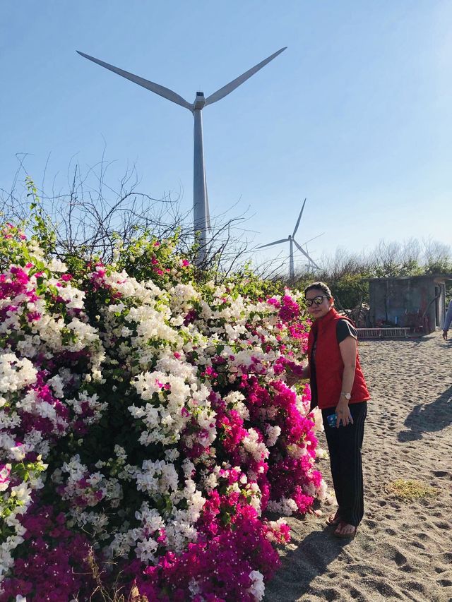 Bangui Wind Farm
