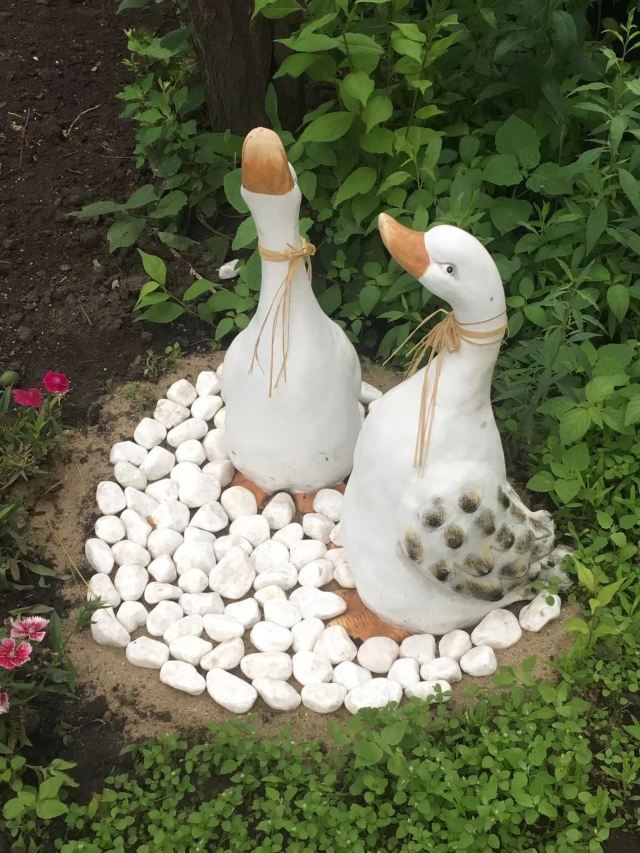 奇想花園