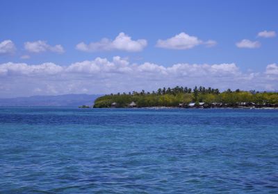 Bandar Lapu-Lapu