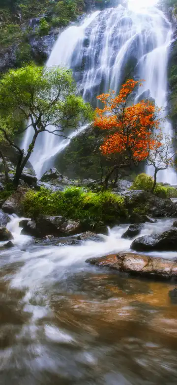 鄰近Wat Kampaeng Ngam的酒店