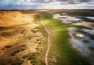 Tengger Desert