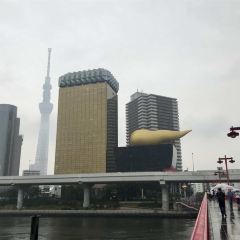 天空LOUNGE TOP of TREE張用戶圖片