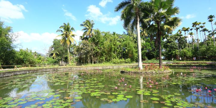 Xinglong Tropical Botanical Garden