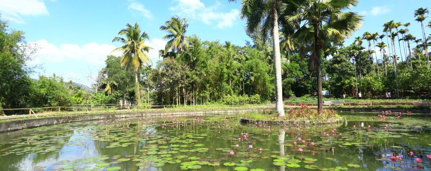 Xinglong Tropical Botanical Garden