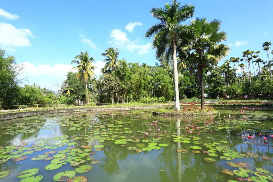 5_Xinglong Tropical Botanical Garden