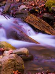 Tongjianchong Waterfalls Scenic Area