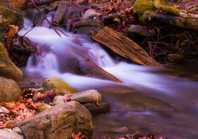 Tongjianchong Waterfalls Scenic Area